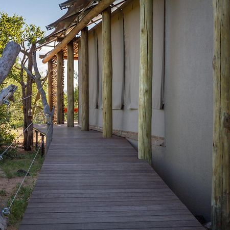 Imagine Africa Luxury Tented Camp بالول جيم ريسيرف المظهر الخارجي الصورة