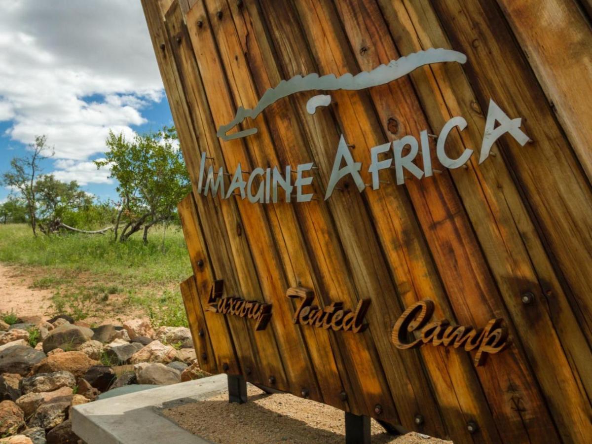 Imagine Africa Luxury Tented Camp بالول جيم ريسيرف المظهر الخارجي الصورة