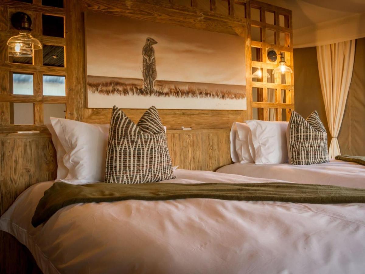 Imagine Africa Luxury Tented Camp بالول جيم ريسيرف المظهر الخارجي الصورة