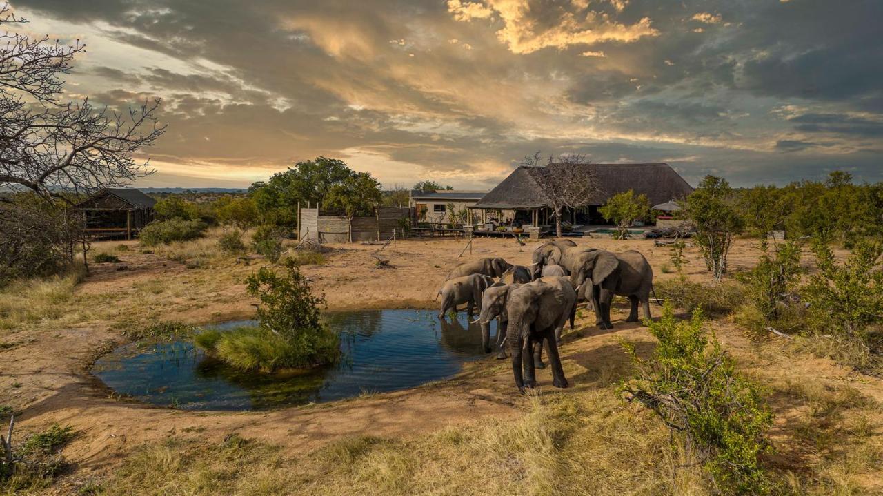 Imagine Africa Luxury Tented Camp بالول جيم ريسيرف المظهر الخارجي الصورة