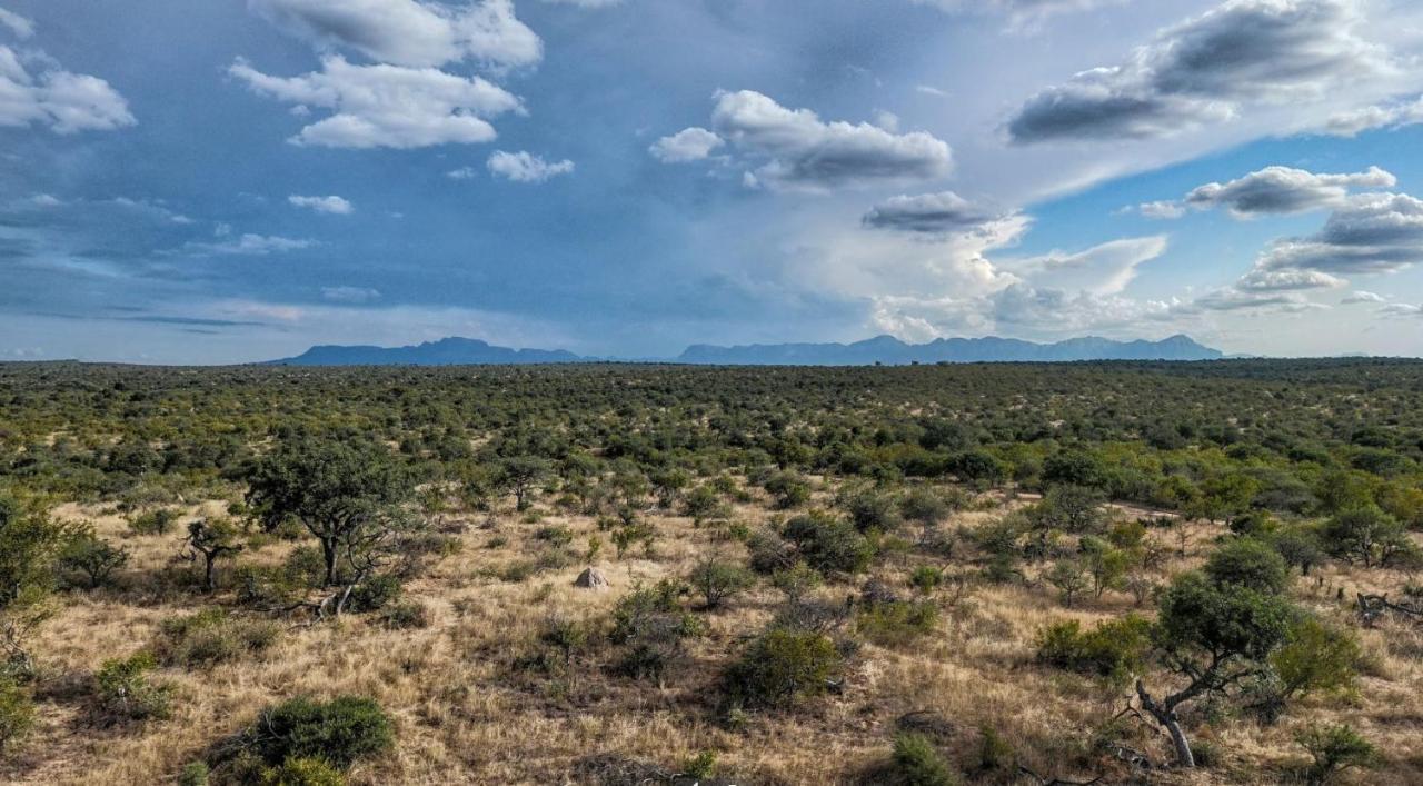 Imagine Africa Luxury Tented Camp بالول جيم ريسيرف المظهر الخارجي الصورة