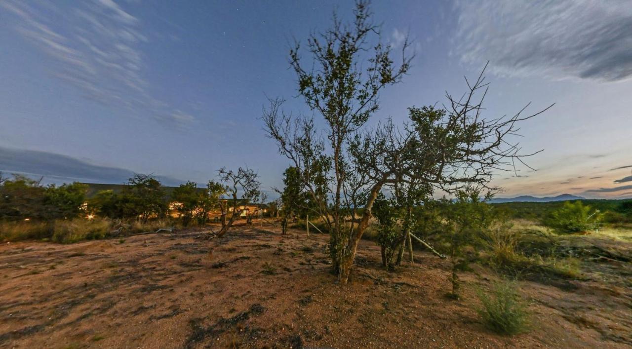 Imagine Africa Luxury Tented Camp بالول جيم ريسيرف المظهر الخارجي الصورة