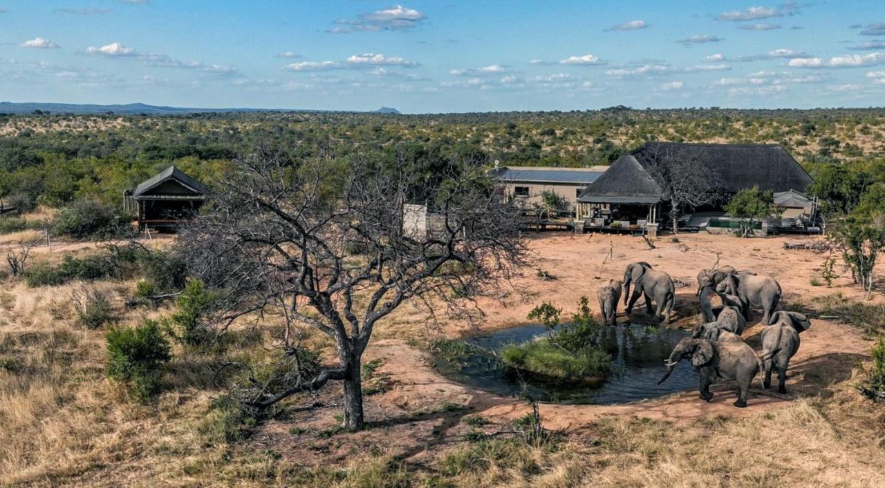 Imagine Africa Luxury Tented Camp بالول جيم ريسيرف المظهر الخارجي الصورة