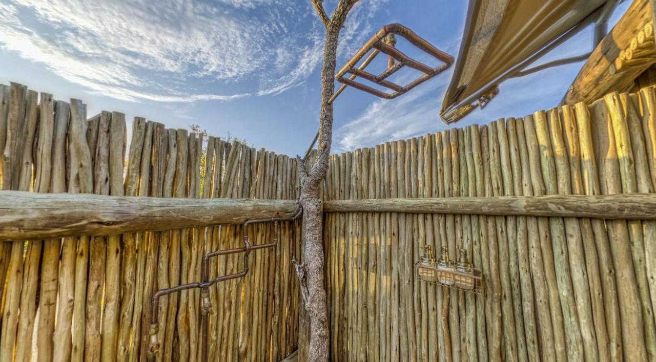 Imagine Africa Luxury Tented Camp بالول جيم ريسيرف المظهر الخارجي الصورة