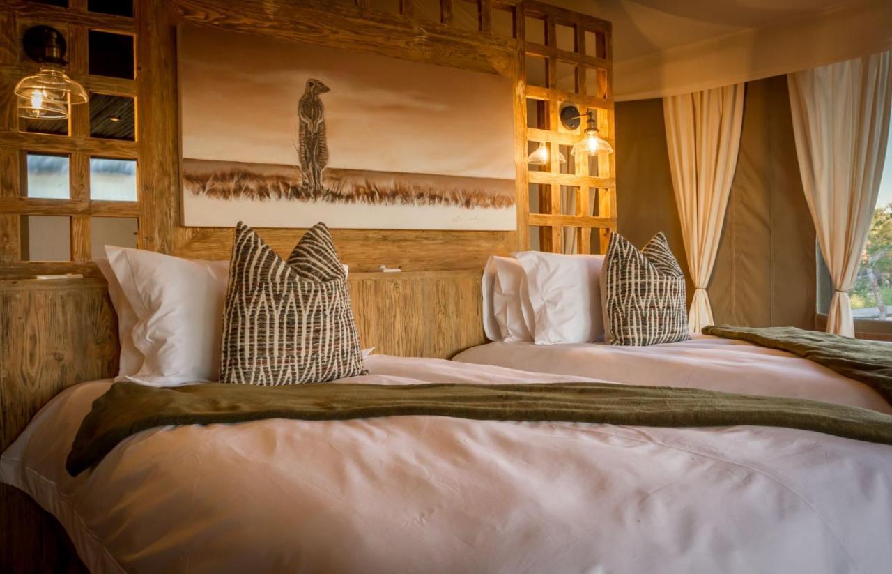 Imagine Africa Luxury Tented Camp بالول جيم ريسيرف المظهر الخارجي الصورة